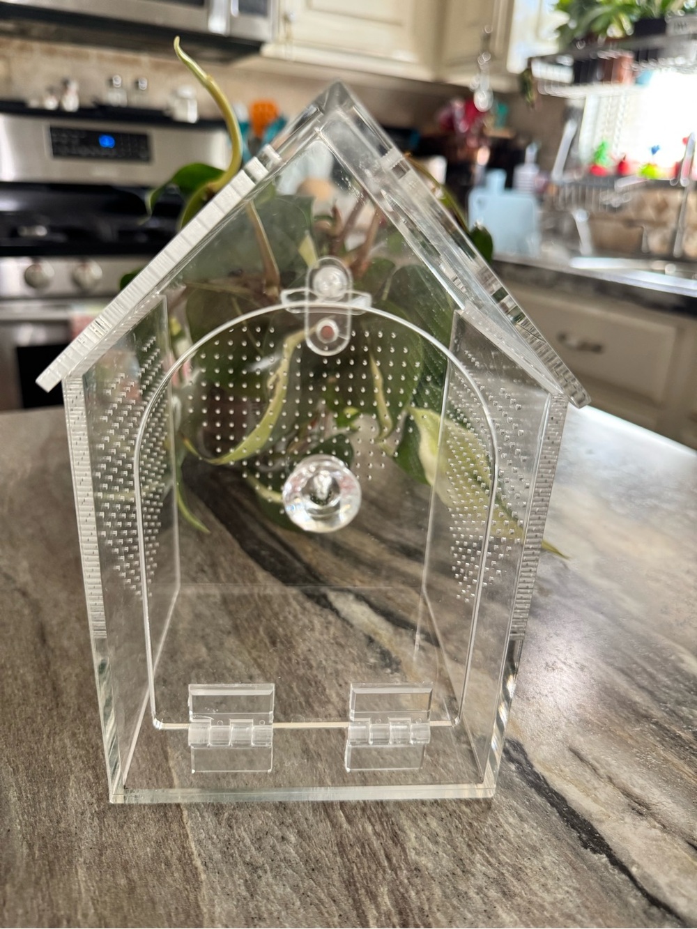 Clear Acrylic House-Shaped small pet enclosure - Picture 3 of 9
